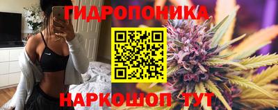 гидра Аргун