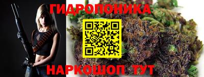 гидра Аргун